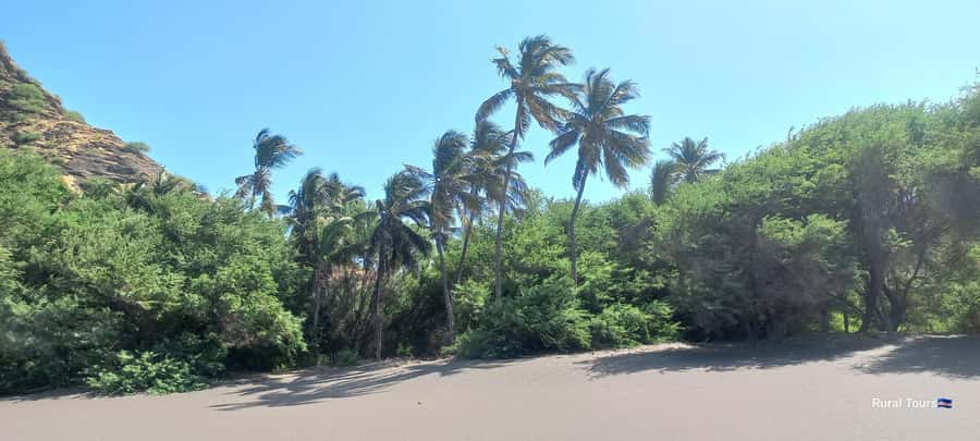 Discover the Black Sand Beach+the Natural Pool - Why the private group format matters
