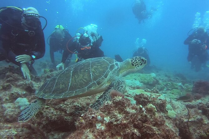 Double Diving in Sal Island - Half Day - Sea conditions and the windy season