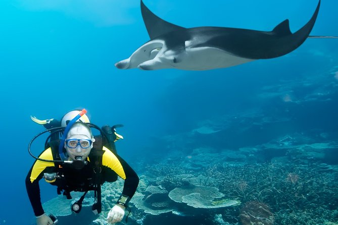 Double Diving in Sal Island - Half Day - Who should book this Sal activity?