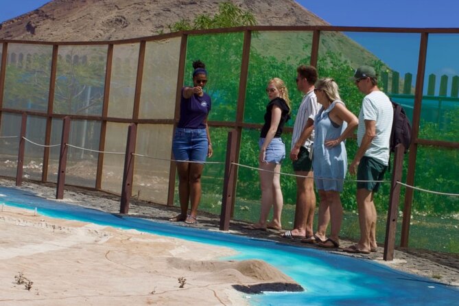 Exclusive Sal Island - Full Day Personalized for You - Why this Sal Island day makes sense