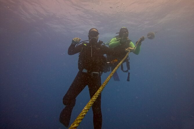 First Diving Experience Try Dive - The value of the $119.48 price