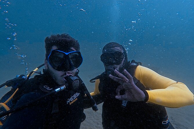 First Diving Experience Try Dive - Pickup from Santa Maria and timing advice