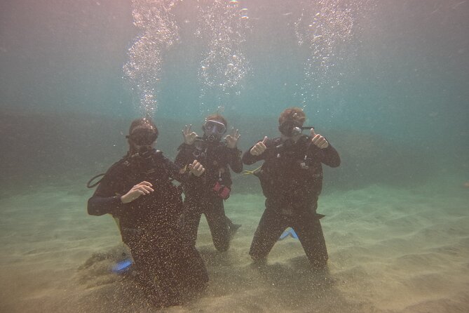 First Diving Experience Try Dive - How the staff experience shapes the outing