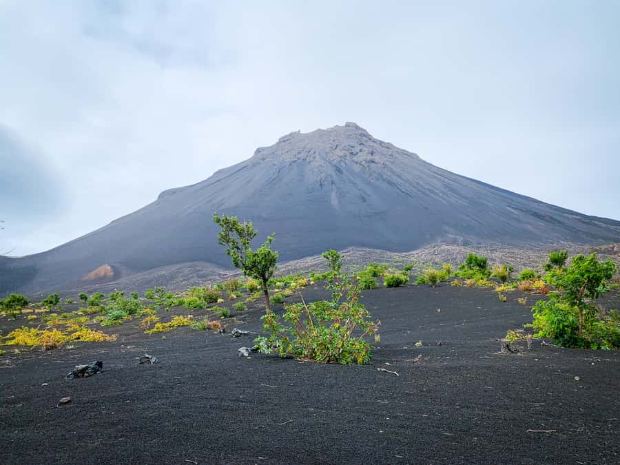 Fogo Island: Pico do Fogo Volcano Summit Hike - The volcanic ash run back down