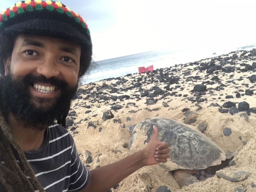 Turtle Watching and Nesting Evening Tour