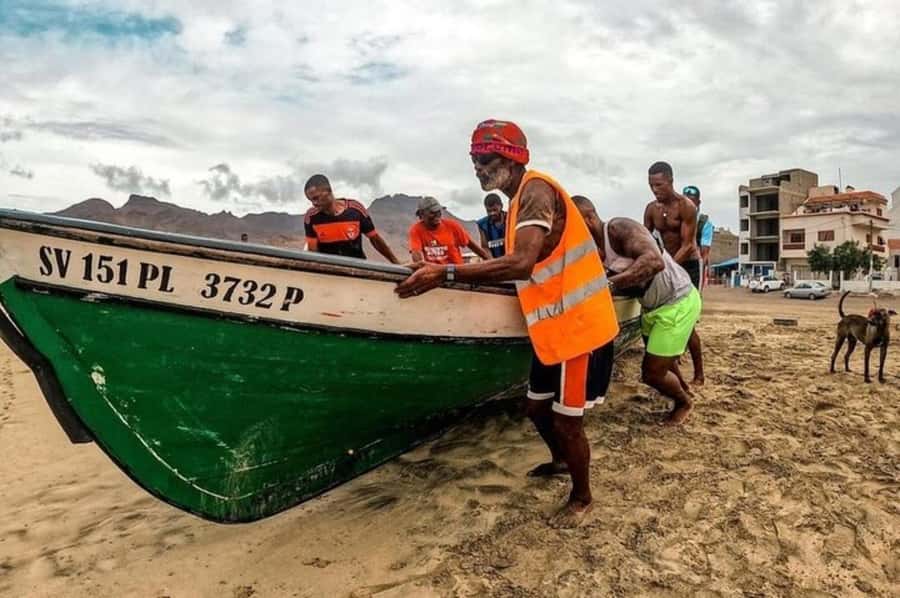 From Mindelo: Snorkel and Swim with Sea Turtles - Key points to know before you book
