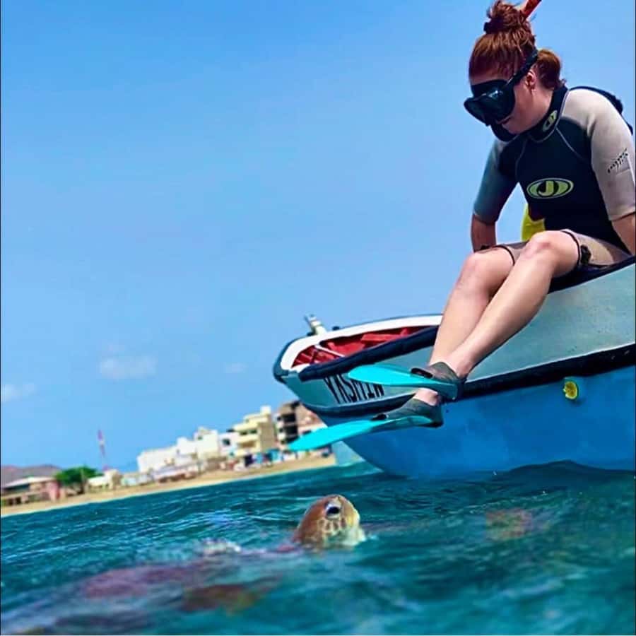 From Mindelo: Snorkel and Swim with Sea Turtles - What the turtle encounter is really like