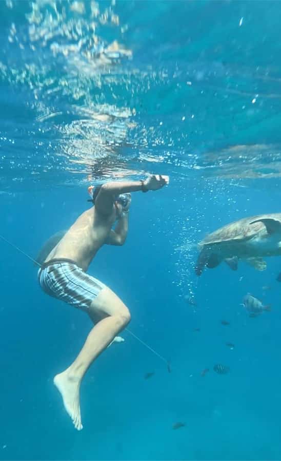 From Mindelo: Snorkel and Swim with Sea Turtles - Safety, equipment, and comfort