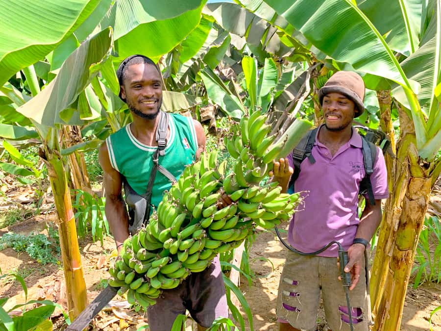 From Praia: Banana Plantation Tour and Cuscuz Workshop - Why this short trip reaches beyond Praia