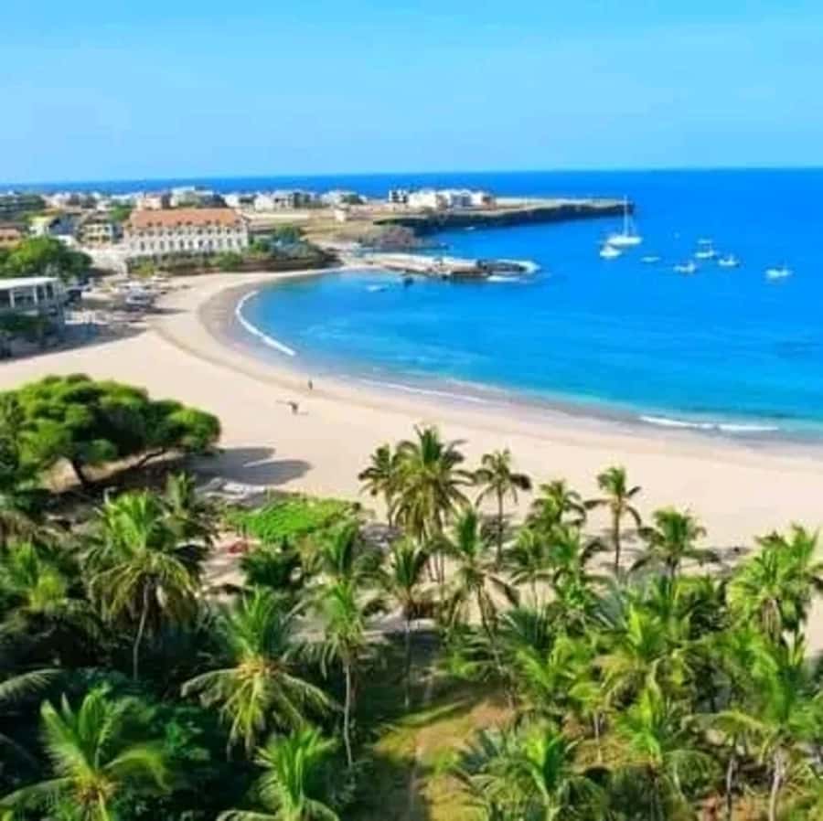 From Praia: Explore the island with local Tour guide - Why this Santiago day trip works well