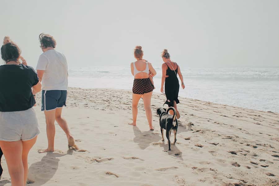 From Praia: Explore the island with local Tour guide - Should you book this Santiago tour?