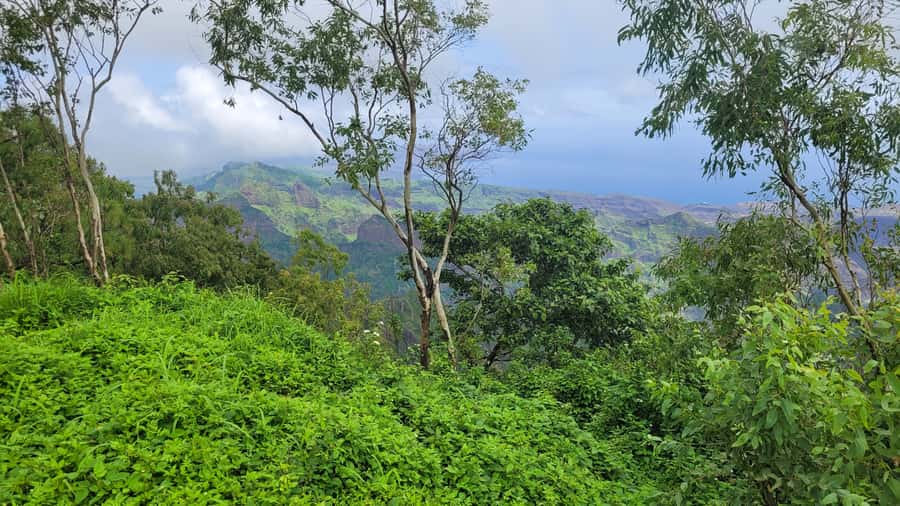 From Praia: Explore the island with local Tour guide - What the $58 price includes