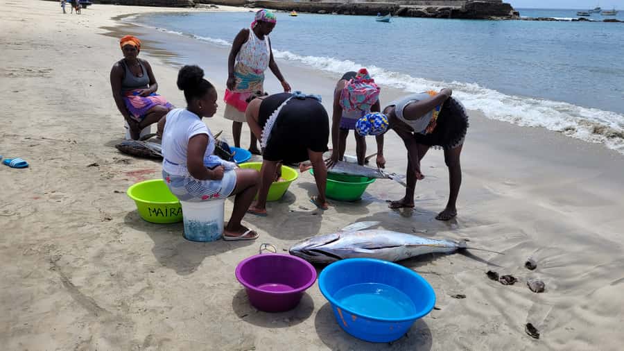 From Praia: Explore the island with local Tour guide - Who should book this tour