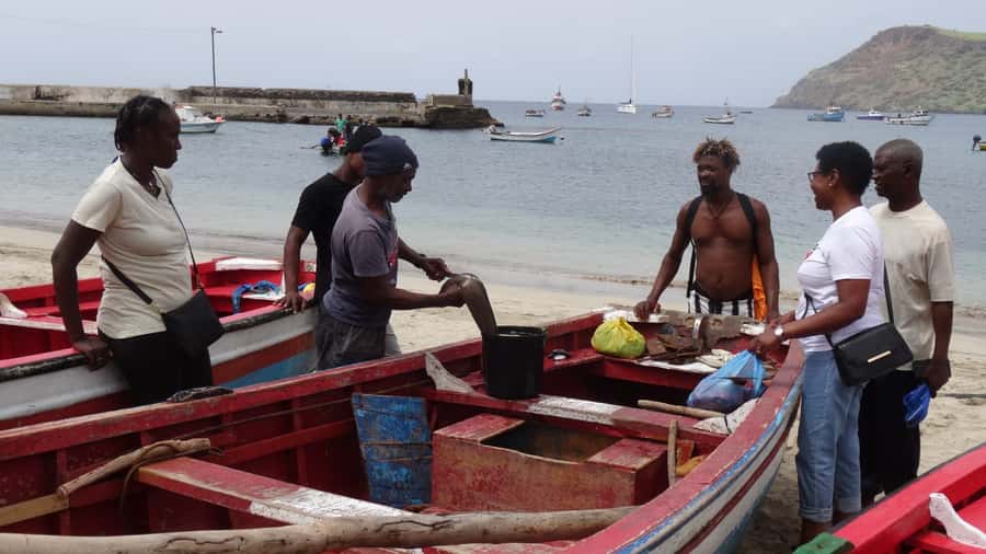 From Praia: Explore the island with local Tour guide - Practical advice before you go