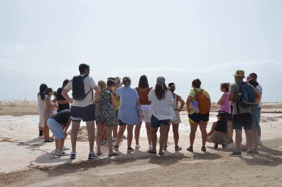 From Sal Island: Blue Eye, Salt Lake, Lemon Sharks, Palmeira - Why this Sal Island day trip works