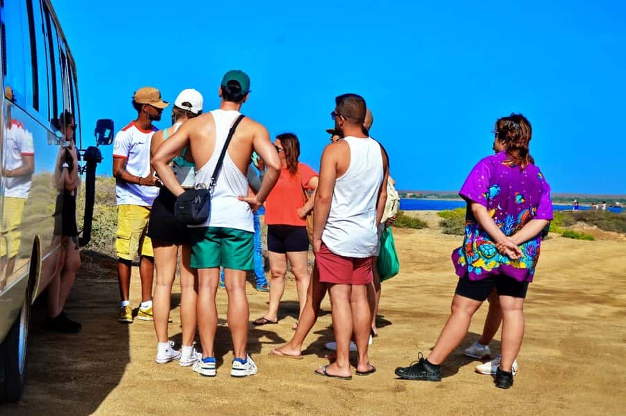 From Sal Island: Blue Eye, Salt Lake, Lemon Sharks, Palmeira - Guides, languages, and the feel of the day
