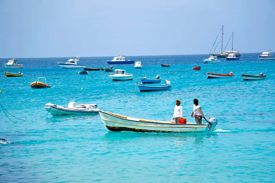 From Santa Maria: Sal Island Private Day Trip - What the €106 price includes