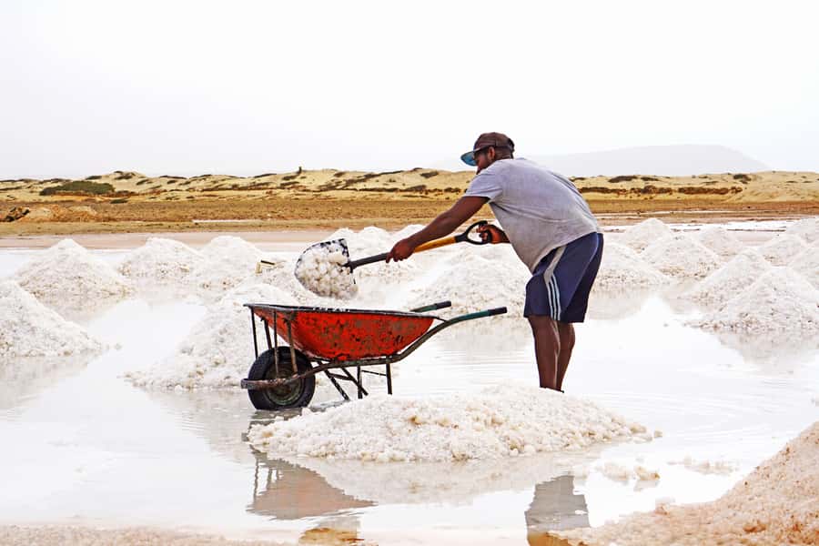 From Santa Maria: Sal Island Private Day Trip - What to bring for a smoother day