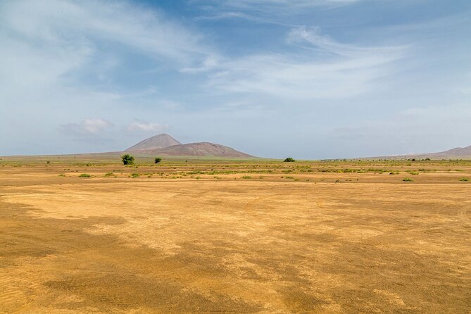 Full Day Adults Only Tour of Sal with Lobster Lunch and Salt Lake - Is the $135.09 price fair?