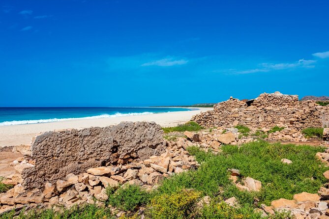 Full Day Boa Vista Island Guided 4X4 Tour with Beachfront Lunch - Rattling across the Viana desert