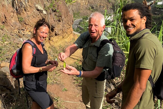 Full-Day Island Tour in Santo Antão with Lunch Included - Coffee first, then the road from Porto Novo