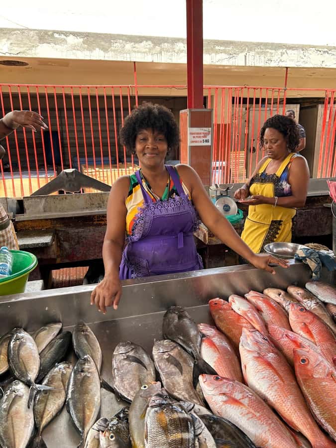 Full Day Island Tour, São Vicente, Mindelo, Highlights - Key points to know before you book