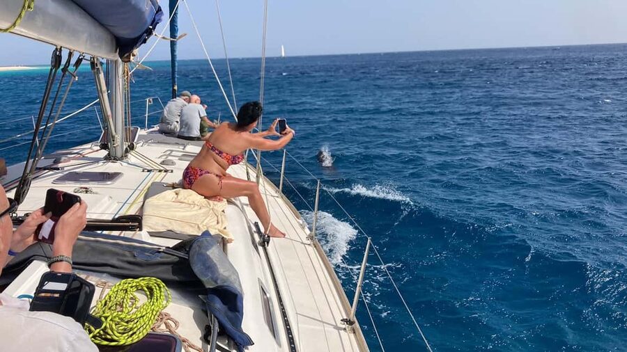 Full day sailing boat in Sal, Cape Verde:taste the Atlantic! - Key points to know before you book
