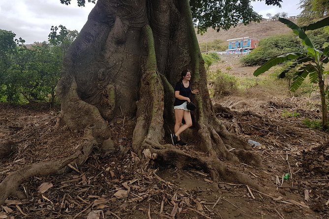 Full Day Santiago Island Tour - The guide can shape the whole day