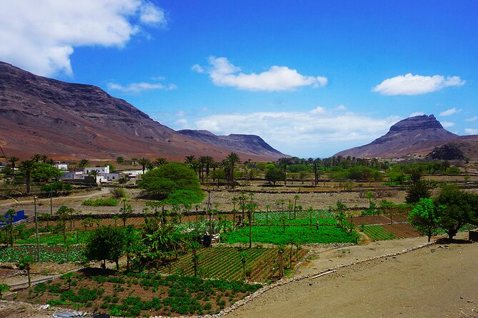 Full-Day São Vicente Island Experience with a Local Guide - The guides and the private-tour difference