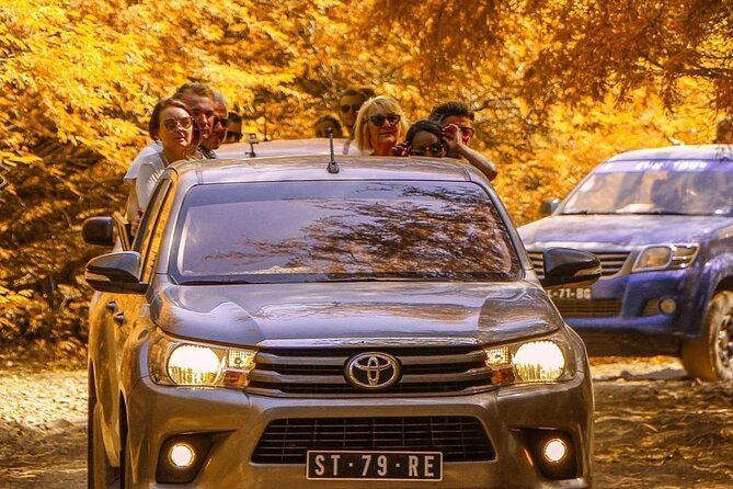 Full-day tour - Salt Mine, Blue Eye, Shark Watch and Kite Beach - What the guides and vehicle arrangement mean