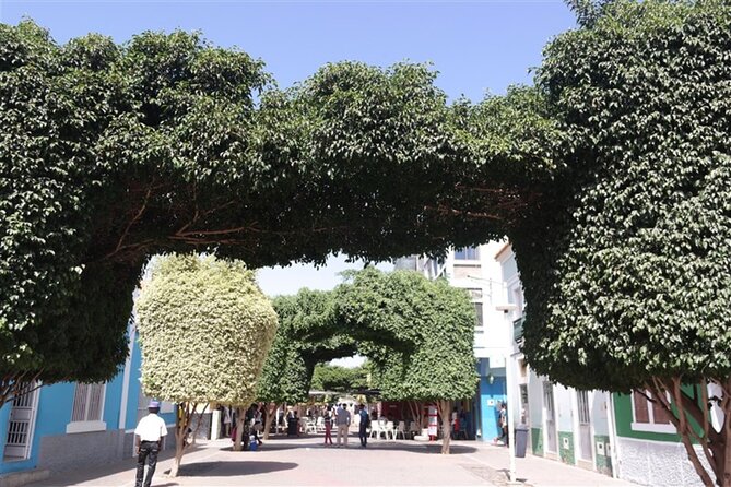 Guided city Tour Praia, Highlights tour - What the two-hour format really gives you