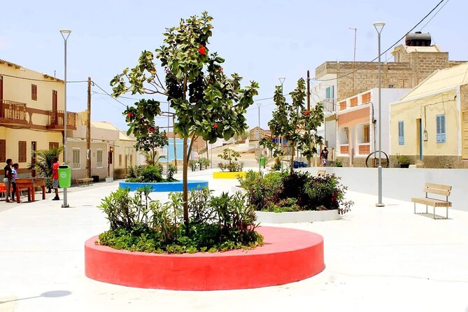 Guided Full Day Island Tour in Boa Vista with Lunch - Why this tour works for seeing Boa Vista