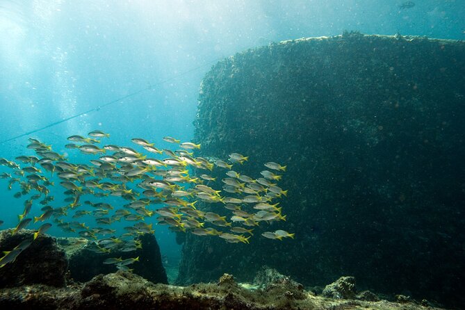 Half-Day Diving in Sal - Practical details that can save you trouble