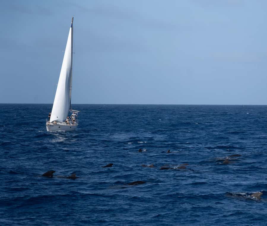 Half-Day Sailing Yacht Adventure in Sal Island - 3 hours - A quiet start on Sal’s southwest coast
