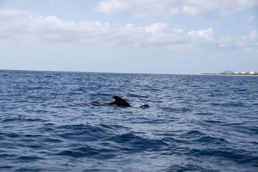 Half-Day Sailing Yacht Adventure in Sal Island - 3 hours - Three hours aboard yacht Lucy