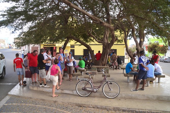 Half-Day Sal Island Tour with Shark Experience from Santa Maria - Why this tour works for a short stay on Sal