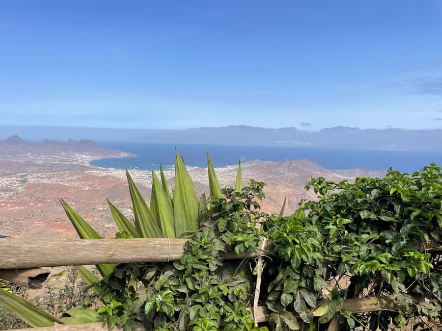 Hike Monte Verde - The first climb follows an old donkey path