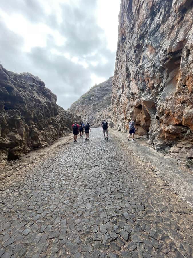 Hike Monte Verde - The upper road is easier, but less rewarding