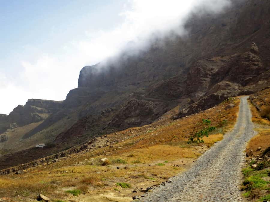 Hike to the highest point of Monte verde - Starting from the port or your hotel