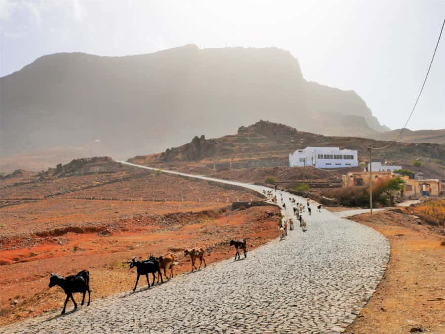 Hike to the highest point of Monte verde - The final two kilometers on foot