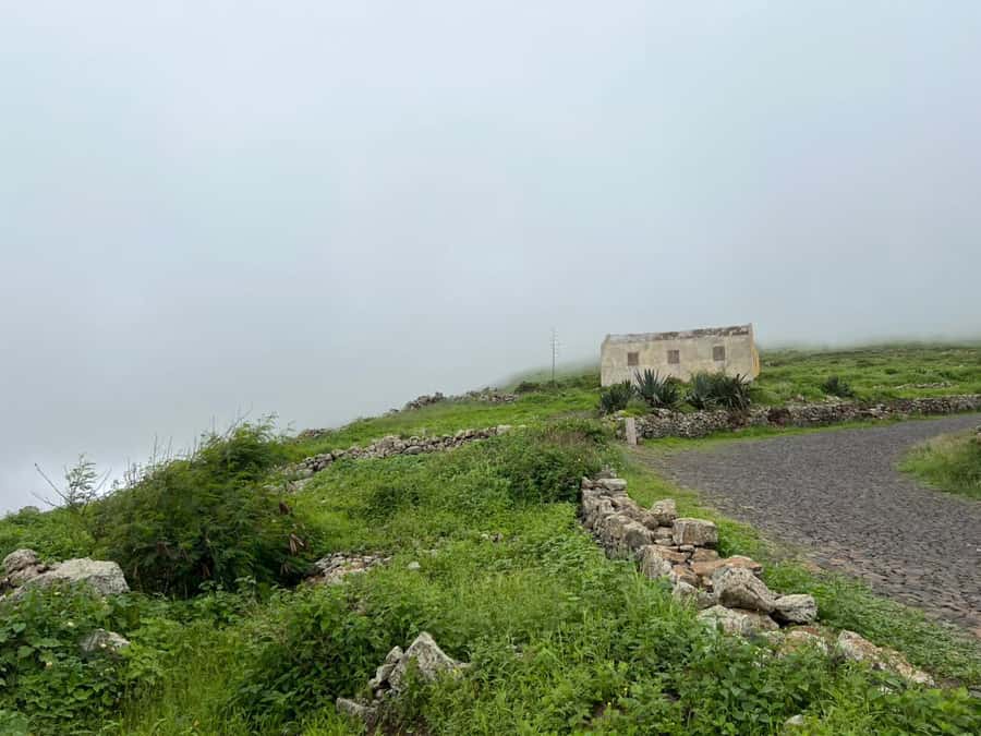 Hike to the highest point of Monte verde - Who will enjoy this Monte Verde outing?