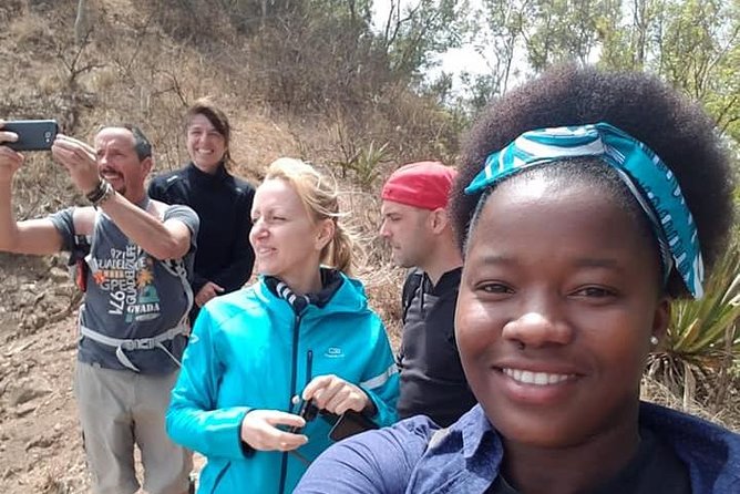 Hiking Pico de Antónia – Summit Adventure & Scenic Views - An 8:00 am pickup keeps the day moving