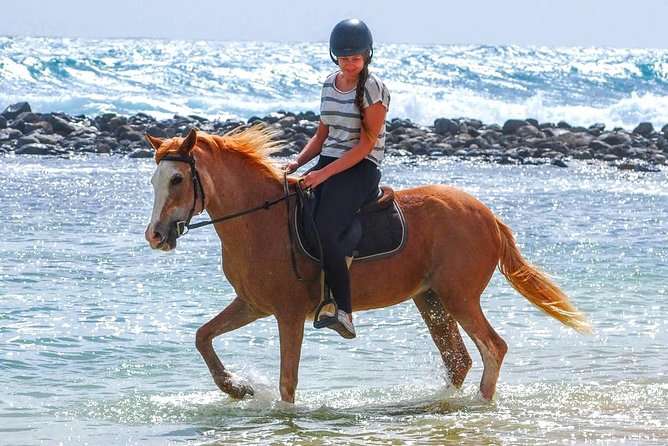 Horse Riding in Sal Island - Cabo Verde - Quick points before you book