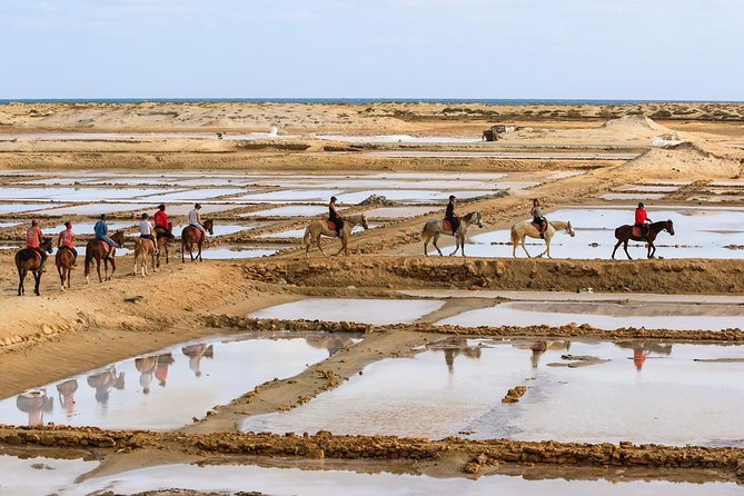 Horse Riding in Sal Island - Cabo Verde - From Santa Maria to the Viveiro stables