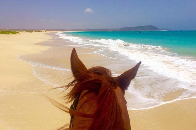 Horse Riding in Sal Island - Cabo Verde - The 1.5-hour route adds Kite Beach