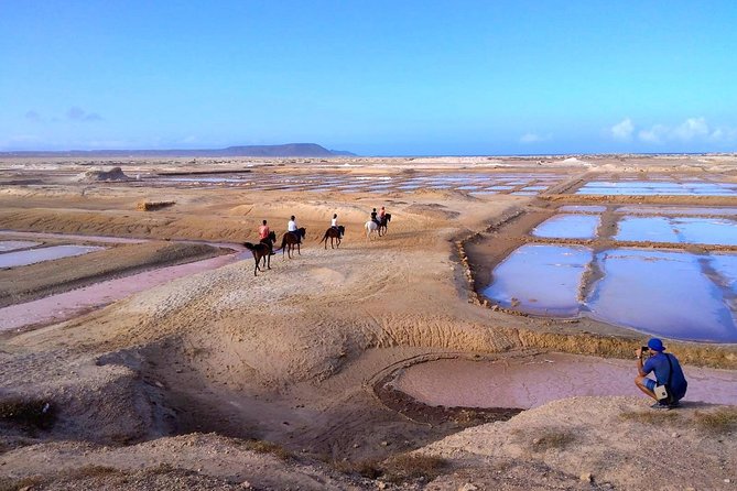 Horse Riding in Sal Island - Cabo Verde - Horses, welfare, and what to watch for