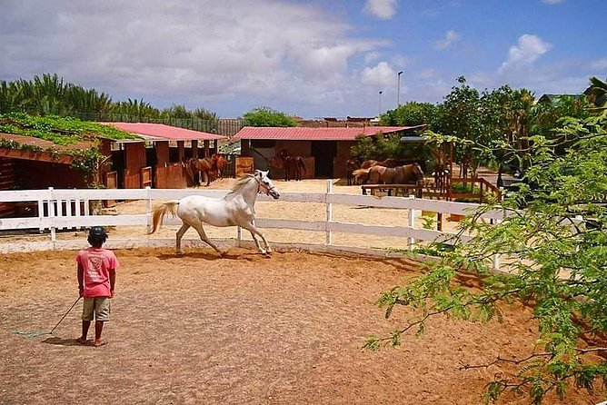 Horse Riding in Sal Island - Cabo Verde - What the $60.25 price really covers