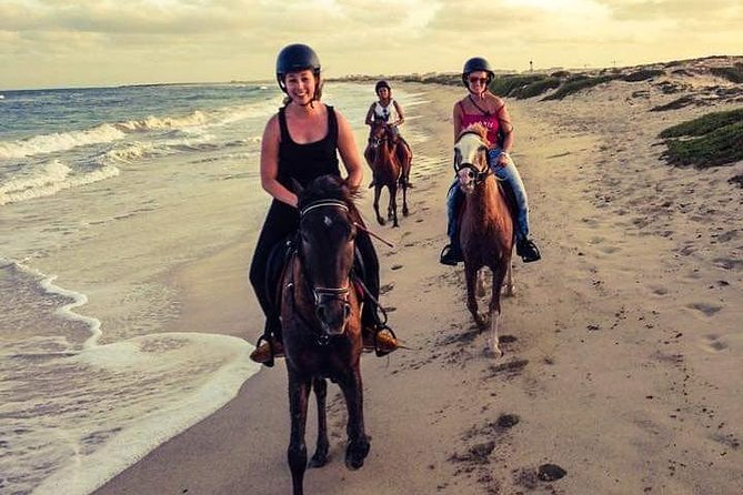Horse Riding in Sal Island - Cabo Verde - How the guides match you with a horse
