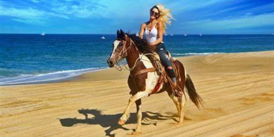 Horseback riding in Boavista for beginners - Meeting the Horses Opposite Riu Palace