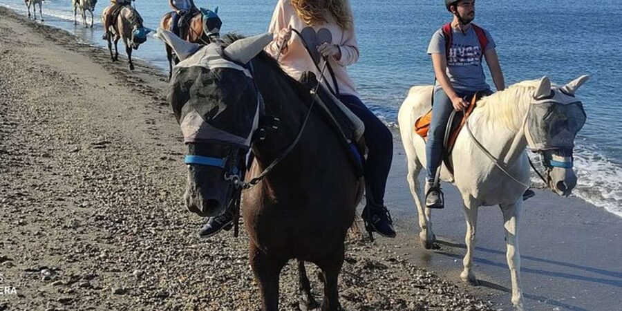 Horseback riding in Boavista for beginners - A Slow Walk Along the Beach
